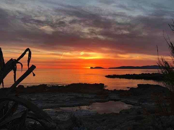 Apartmán Il Tramonto Balaguer Alghero Exteriér fotografie